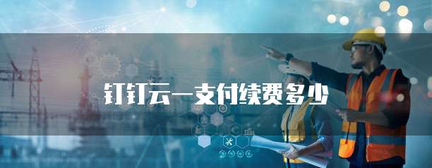 钉钉云一支付续费多少