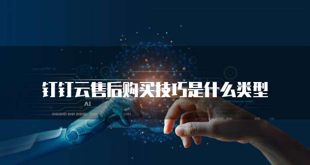钉钉云售后购买技巧是什么类型