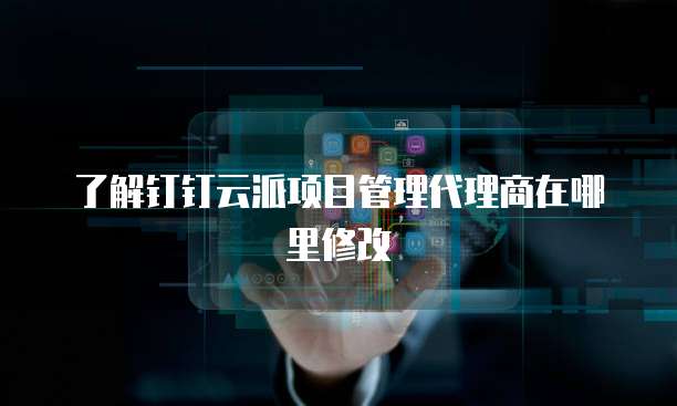 了解钉钉云派项目管理代理商在哪里修改