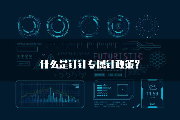 什么是钉钉专属钉政策?