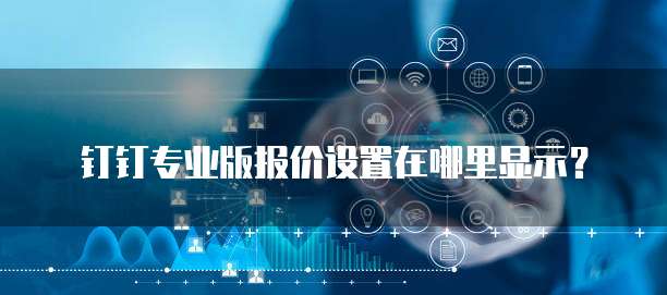 钉钉专业版报价设置在哪里显示?