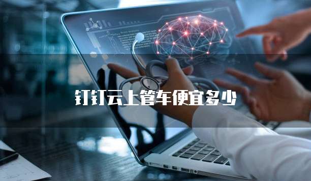钉钉云上管车便宜多少