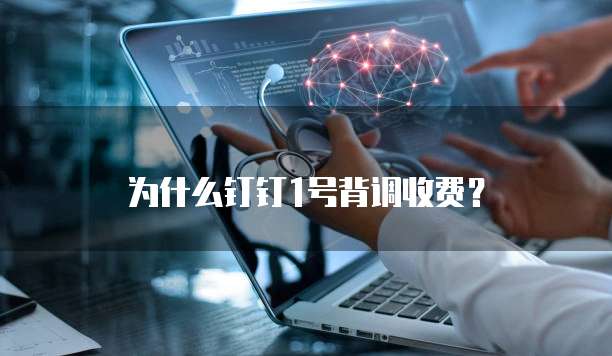 为什么钉钉1号背调收费?