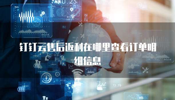 钉钉云售后返利在哪里查看订单明细信息