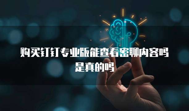 购买钉钉专业版能查看密聊内容吗是真的吗