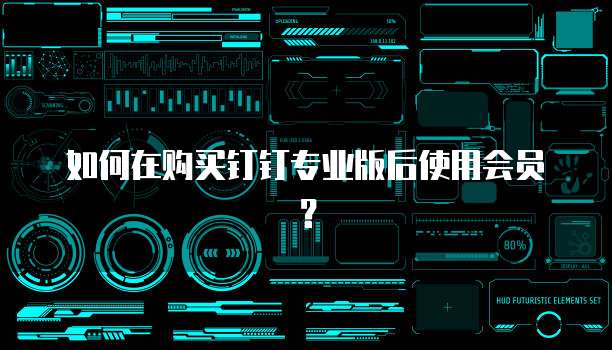 如何在购买钉钉专业版后使用会员?