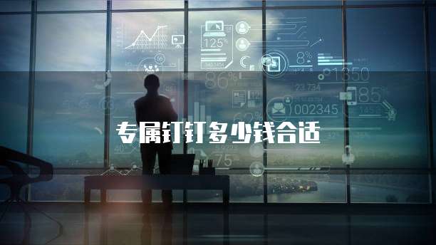 专属钉钉多少钱合适