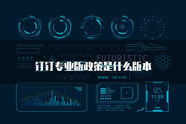 钉钉专业版政策是什么版本