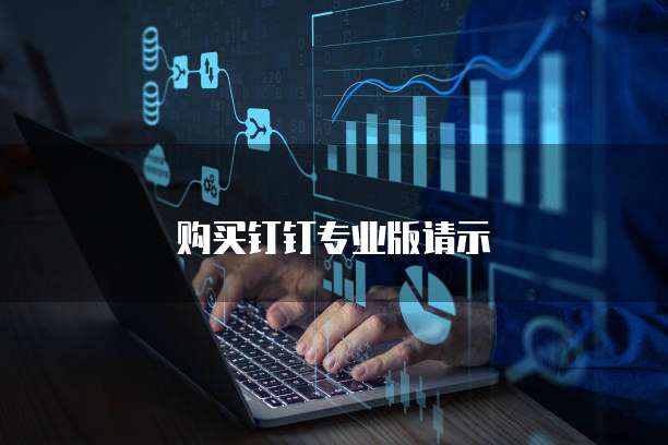 购买钉钉专业版请示