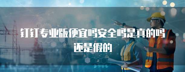 钉钉专业版便宜吗安全吗是真的吗还是假的
