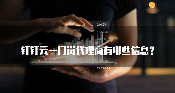 钉钉云一门岗代理商有哪些信息?
