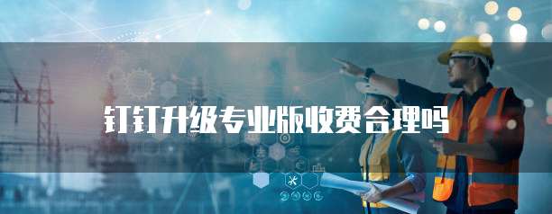 钉钉升级专业版收费合理吗