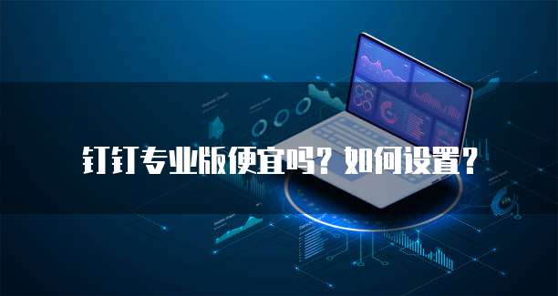 钉钉专业版便宜吗?如何设置?