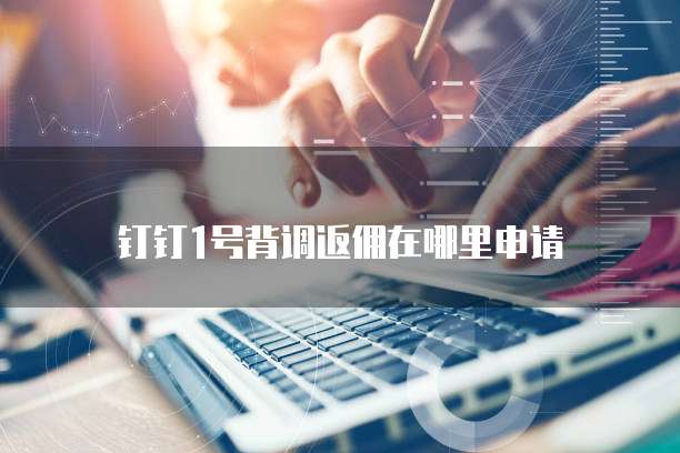 钉钉1号背调返佣在哪里申请