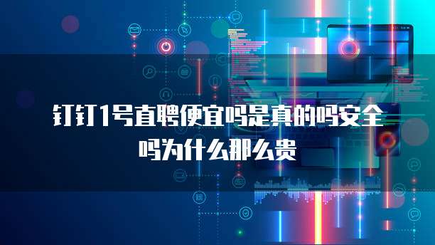 钉钉1号直聘便宜吗是真的吗安全吗为什么那么贵