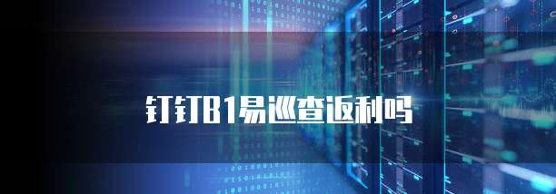 钉钉B1易巡查返利吗