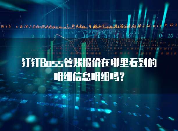 钉钉Boss管账报价在哪里看到的明细信息明细吗?