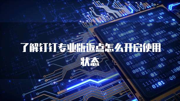 了解钉钉专业版返点怎么开启使用状态
