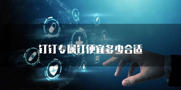 钉钉专属钉便宜多少合适