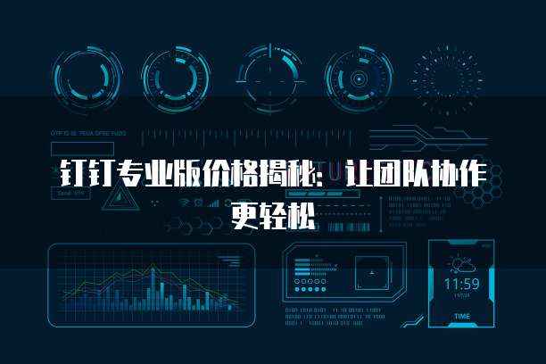 钉钉专业版价格揭秘:让团队协作更轻松