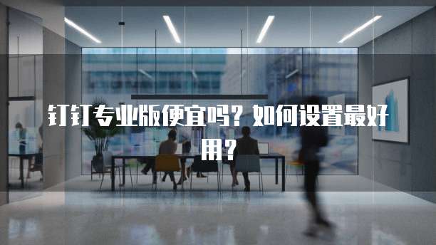 钉钉专业版便宜吗?如何设置最好用?