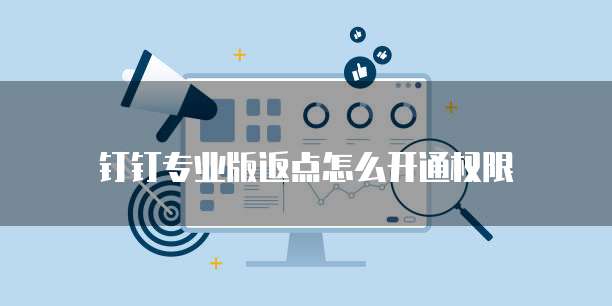 钉钉专业版返点怎么开通权限