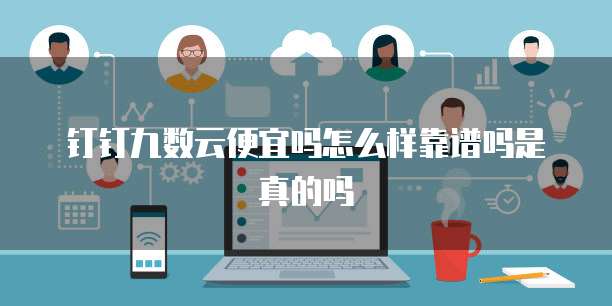 钉钉九数云便宜吗怎么样靠谱吗是真的吗