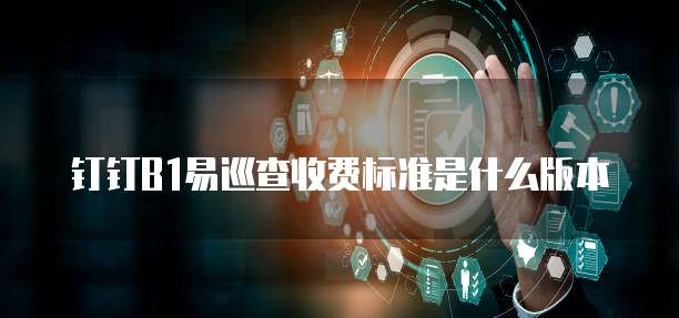钉钉B1易巡查收费标准是什么版本