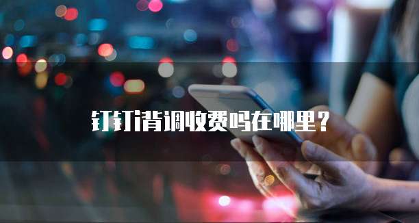钉钉i背调收费吗在哪里?