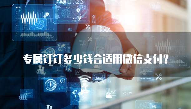 专属钉钉多少钱合适用微信支付?
