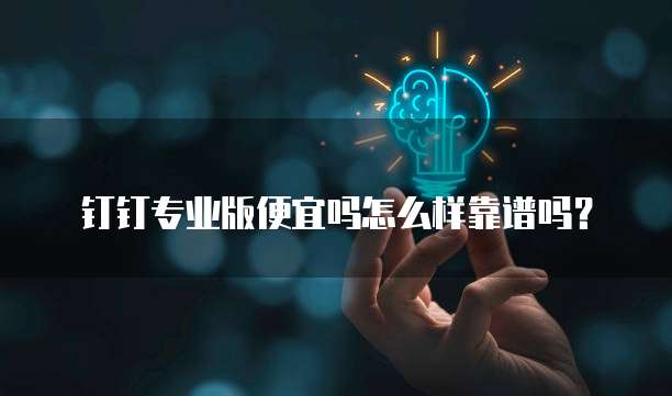 钉钉专业版便宜吗怎么样靠谱吗?