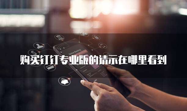 购买钉钉专业版的请示在哪里看到