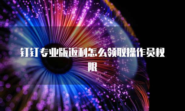 钉钉专业版返利怎么领取操作员权限