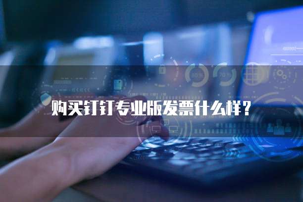 购买钉钉专业版发票什么样?