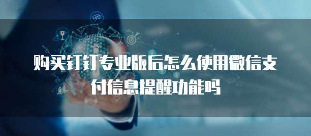 购买钉钉专业版后怎么使用微信支付信息提醒功能吗