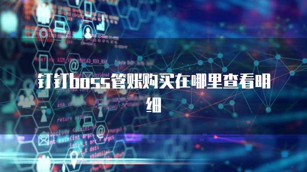 钉钉boss管账购买在哪里查看明细