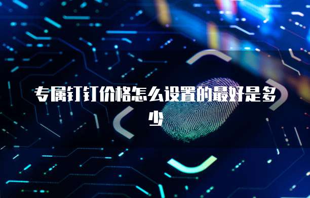 专属钉钉价格怎么设置的最好是多少
