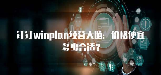钉钉winplan经营大脑:价格便宜多少合适?