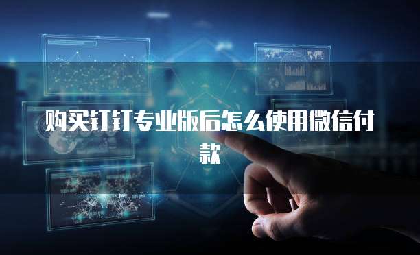 购买钉钉专业版后怎么使用微信付款
