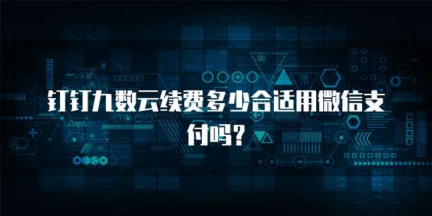 钉钉九数云续费多少合适用微信支付吗?