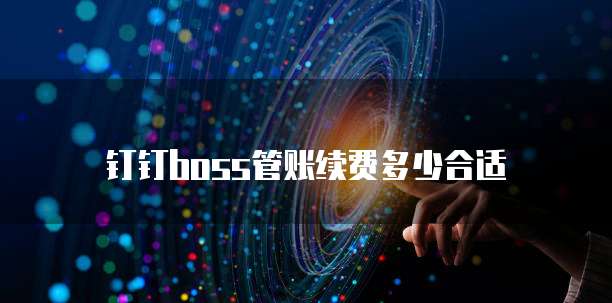 钉钉boss管账续费多少合适