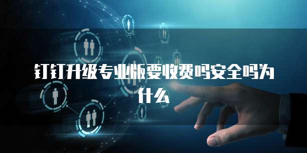 钉钉升级专业版要收费吗安全吗为什么
