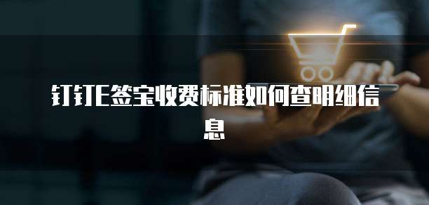 钉钉E签宝收费标准如何查明细信息