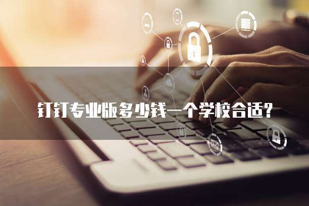 钉钉专业版多少钱一个学校合适？