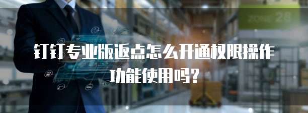 钉钉专业版返点怎么开通权限操作功能使用吗?