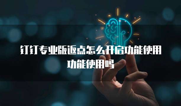 钉钉专业版返点怎么开启功能使用功能使用吗