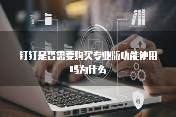 钉钉是否需要购买专业版功能使用吗为什么