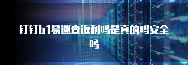 钉钉b1易巡查返利吗是真的吗安全吗