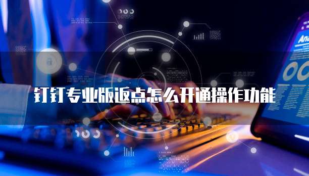钉钉专业版返点怎么开通操作功能