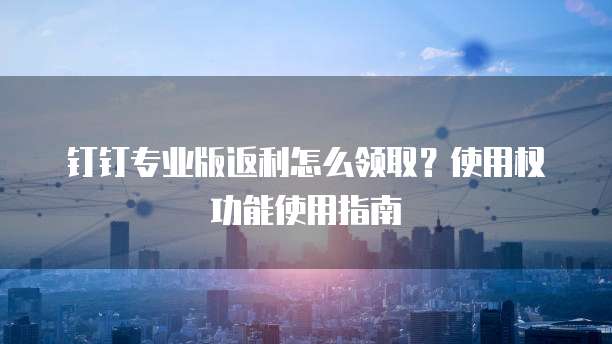 钉钉专业版返利怎么领取？使用权功能使用指南